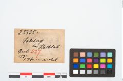 Etikett zu Spinnwirtel (NHMW-PRAE-025335)